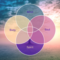 what is your trauma costing you long term soul healing tribe