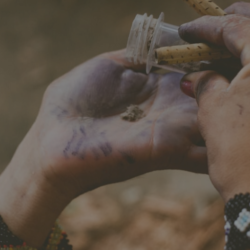 ancestral healing at soul healing tribe