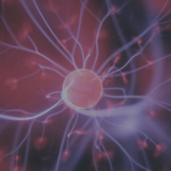healing the right brain spirituality at soul healing tribe