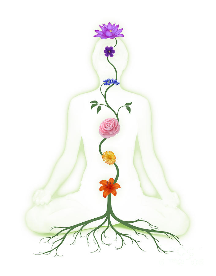 chakras and the endocrine system soul healing tribe