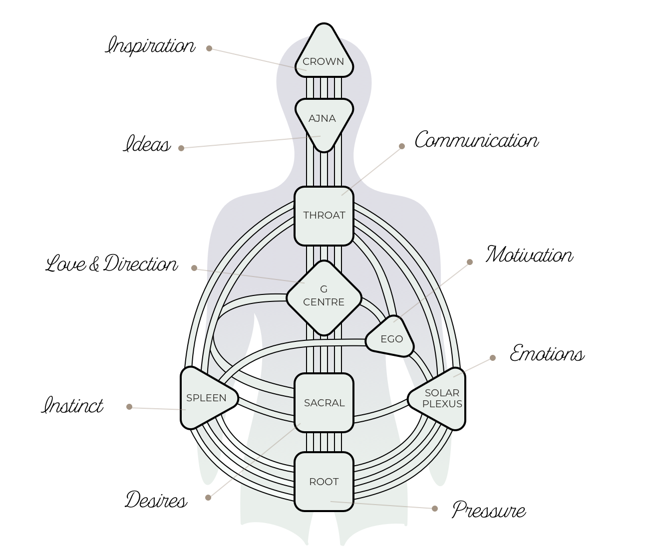 Human Design Chart Quantum Design Chart Free Report