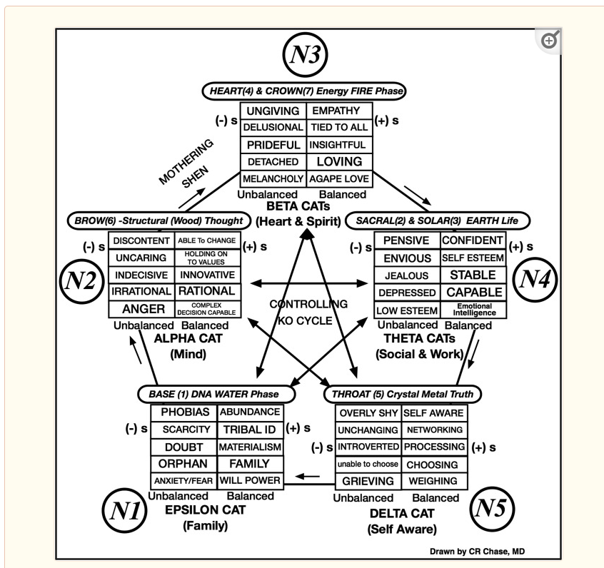 Geometry of Emotions Chakra Research by Dr. Chase