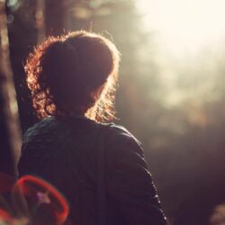 dreamwork dream interpretation