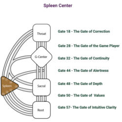 splenic fears