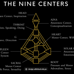 fears in the splenic center human design