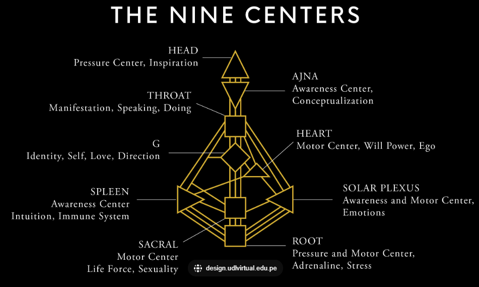 fears in the splenic center human design