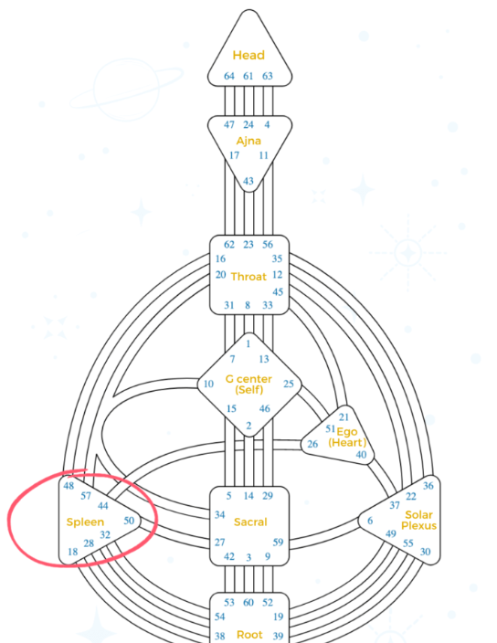 spleen area