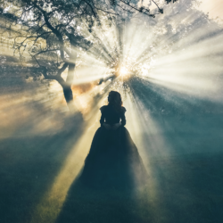 soul healing tribe dream program