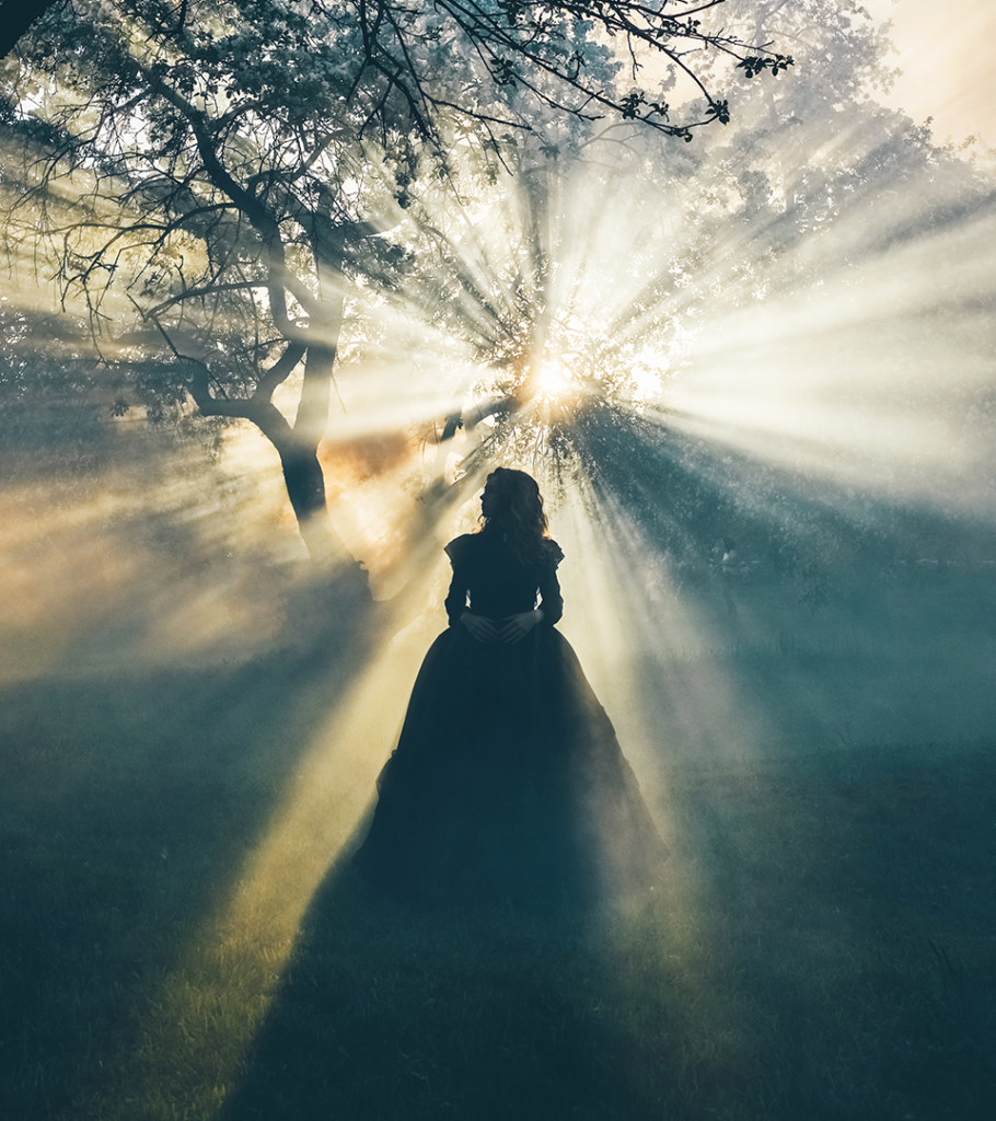 soul healing tribe dream program