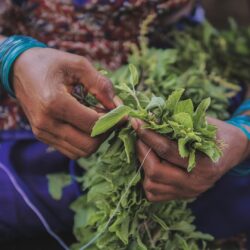what can a shaman do for you? soul healing tribe