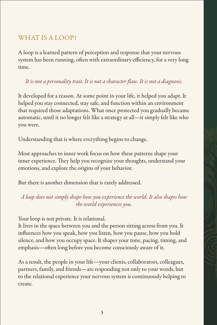 What is a loop ebook page preview